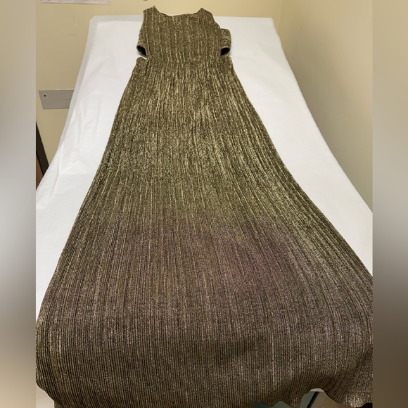 NWOT;BCBG Maxazria Pleated Metallic Evening Gown - Picture 8 of 12